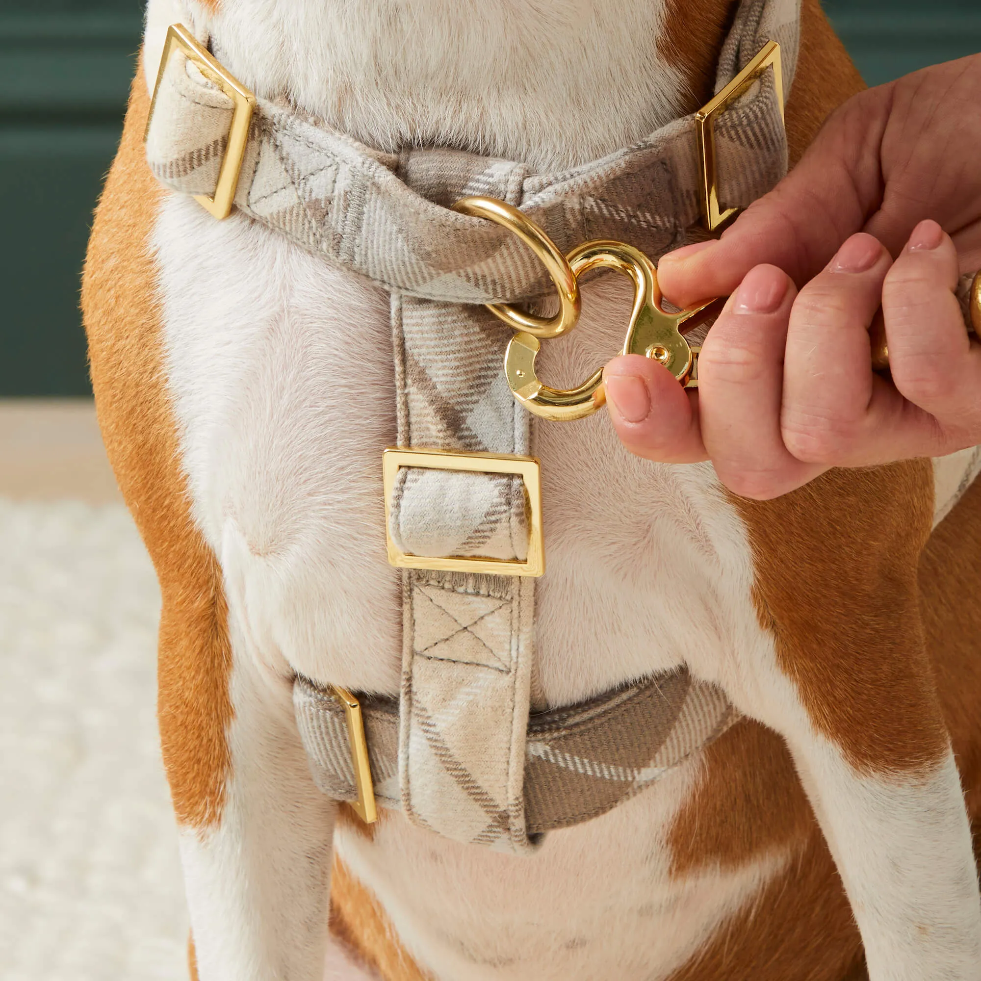 Andover Plaid Flannel Dog Harness