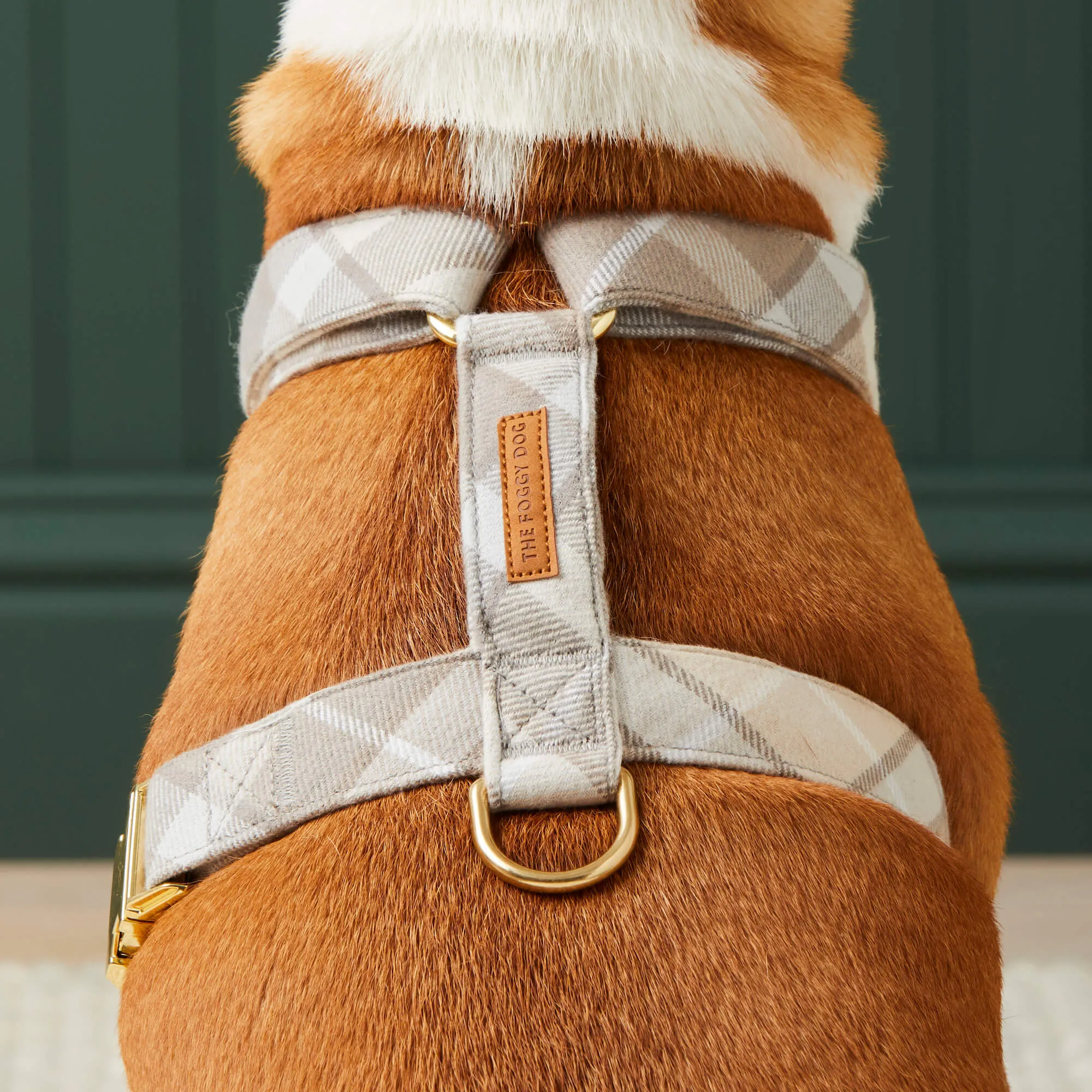 Andover Plaid Flannel Dog Harness