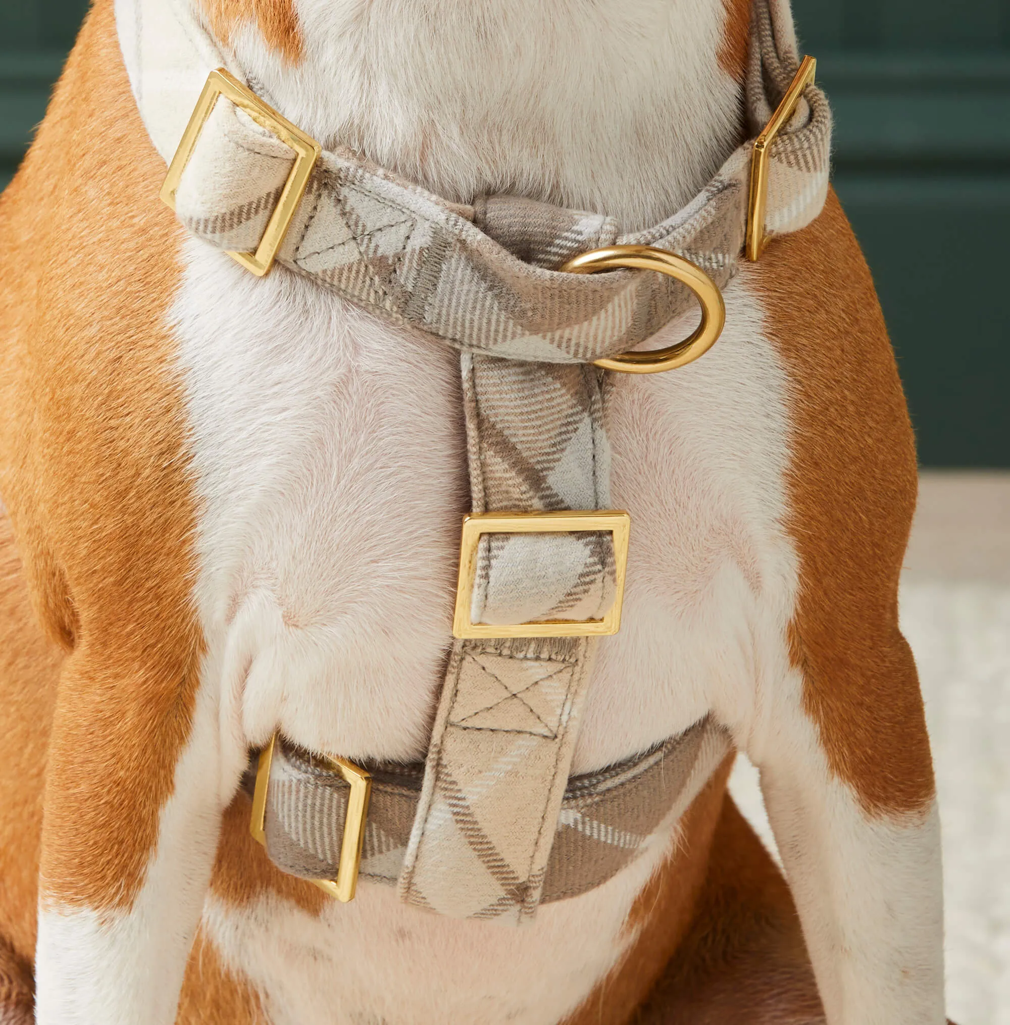 Andover Plaid Flannel Dog Harness