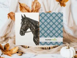 Black Horse giving side-eye funny everyday greeting card, blank inside | Horse   Whiskey Collection