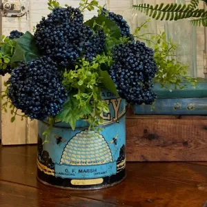 Blue Seeded Hydrangea