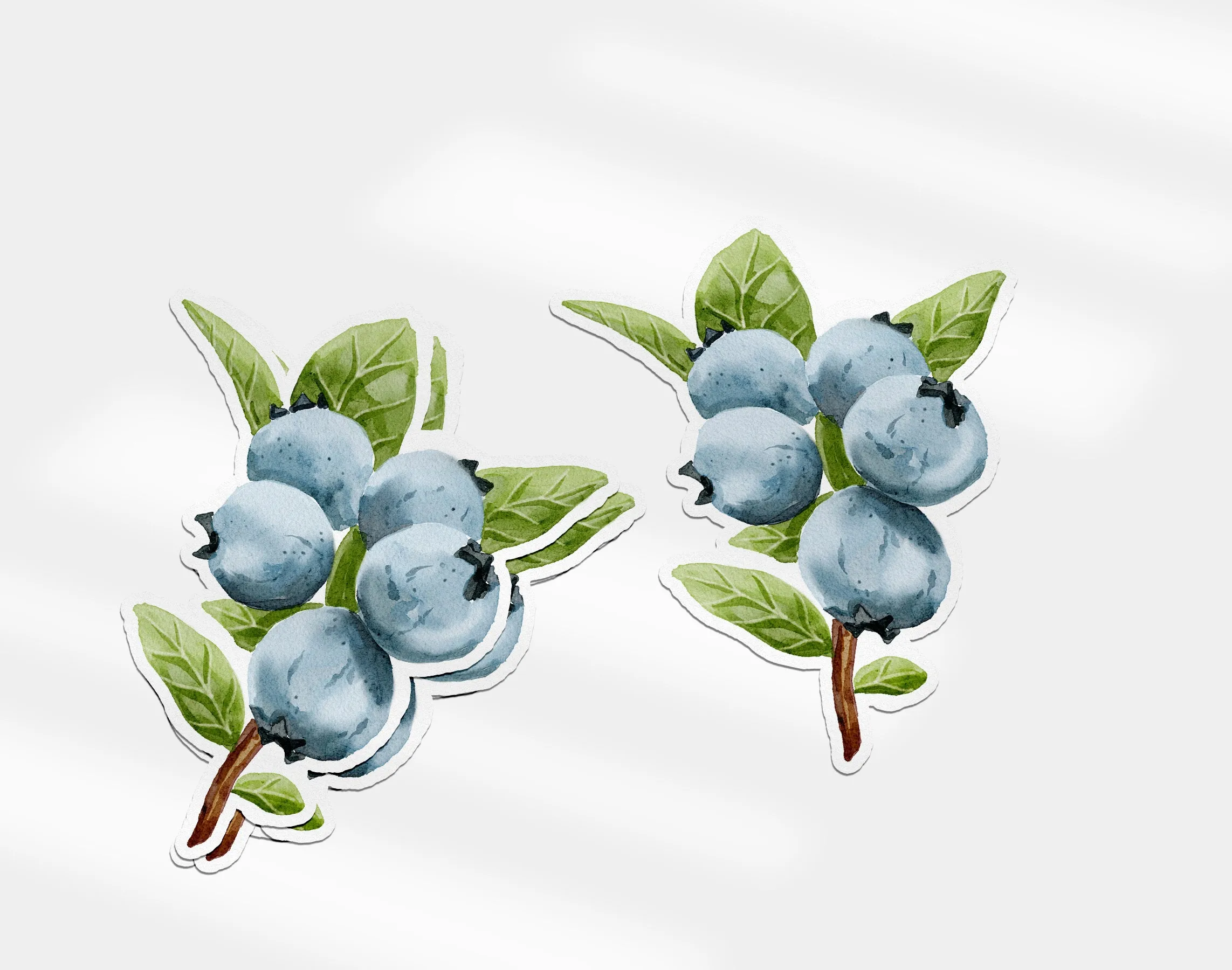 Blueberry sticker, charming die-cut vinyl blueberry branch, great for decorating notebooks, gifts, or just adding fruity flair! | Preppy Coastal Collection