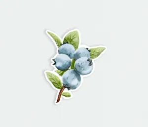 Blueberry sticker, charming die-cut vinyl blueberry branch, great for decorating notebooks, gifts, or just adding fruity flair! | Preppy Coastal Collection