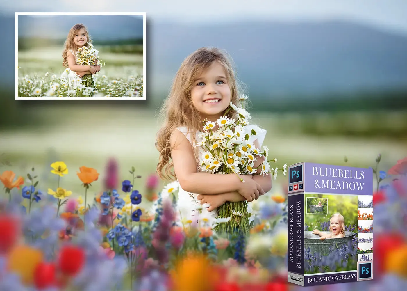 Botanical Overlays: Bluebell & Meadow Whimsy