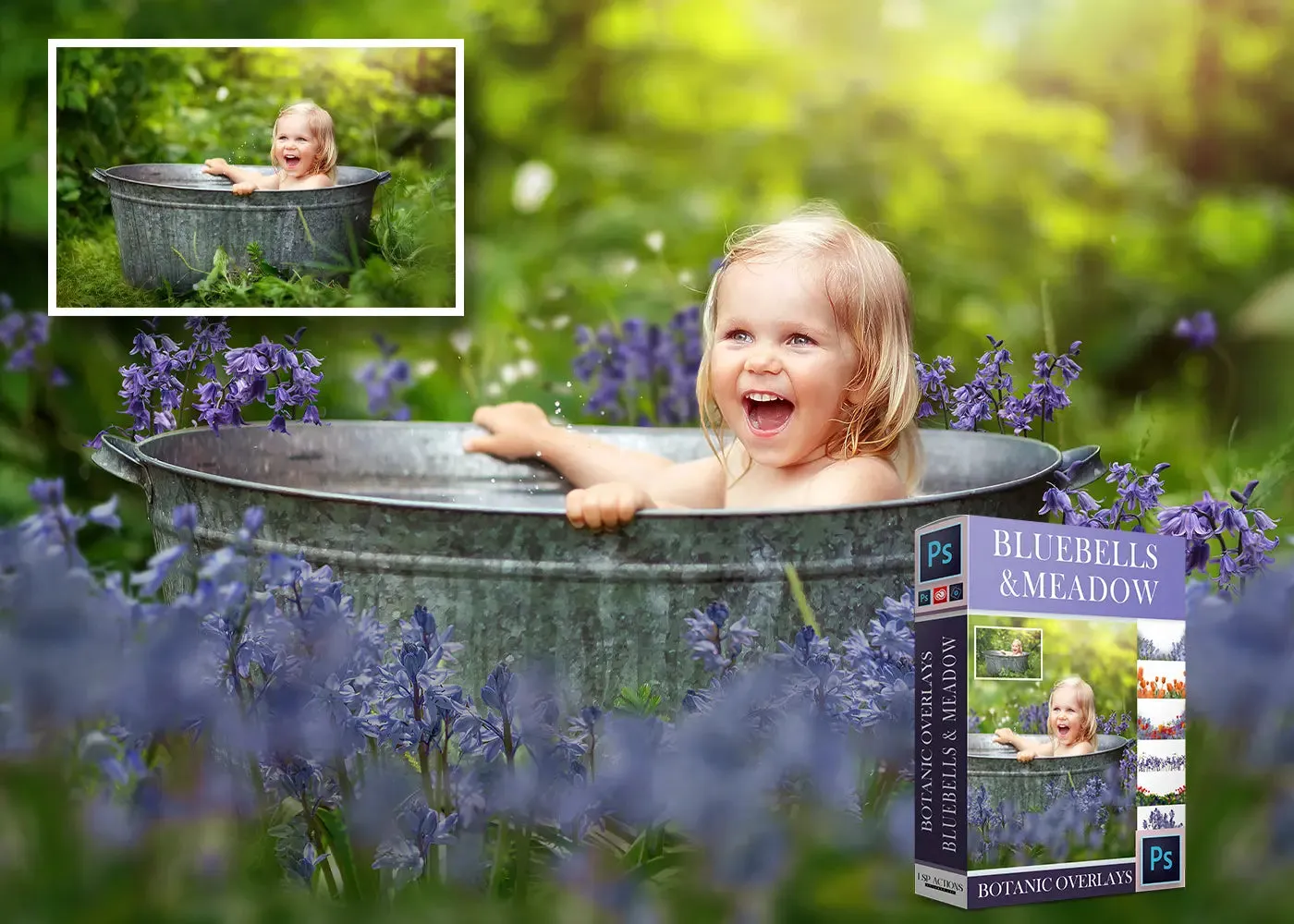 Botanical Overlays: Bluebell & Meadow Whimsy