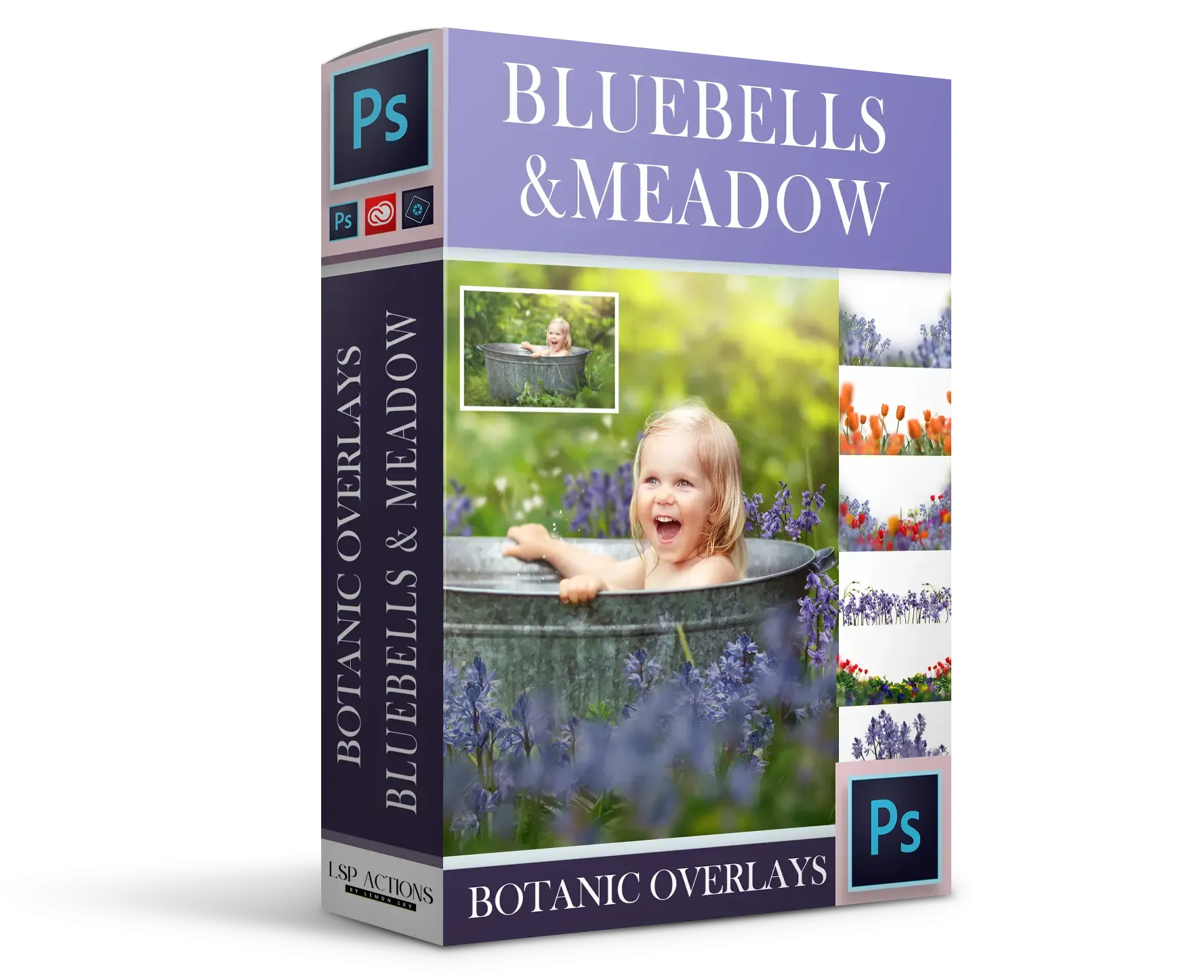 Botanical Overlays: Bluebell & Meadow Whimsy