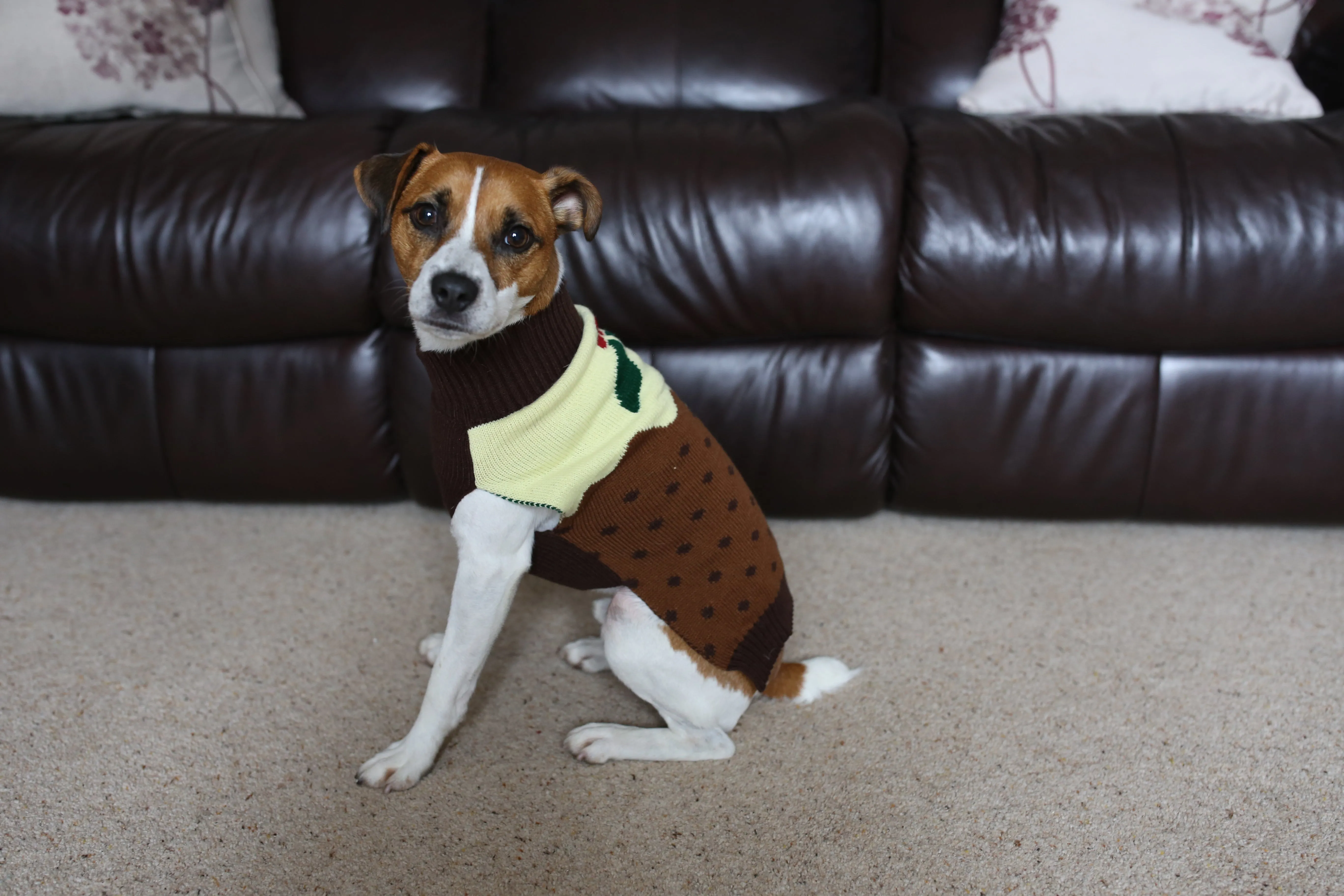 Christmas Pudding Jumper