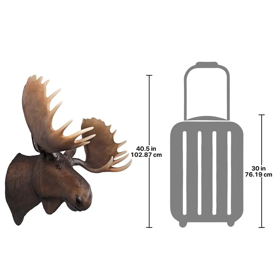 Design Toscano- North American Majestic Moose Trophy Head Wall Sculpture