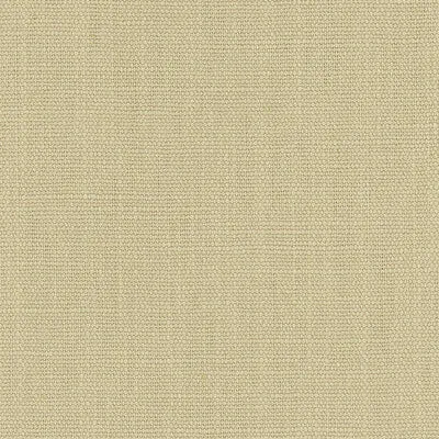 Dixter- Platinum