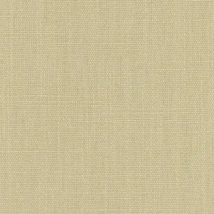 Dixter- Platinum