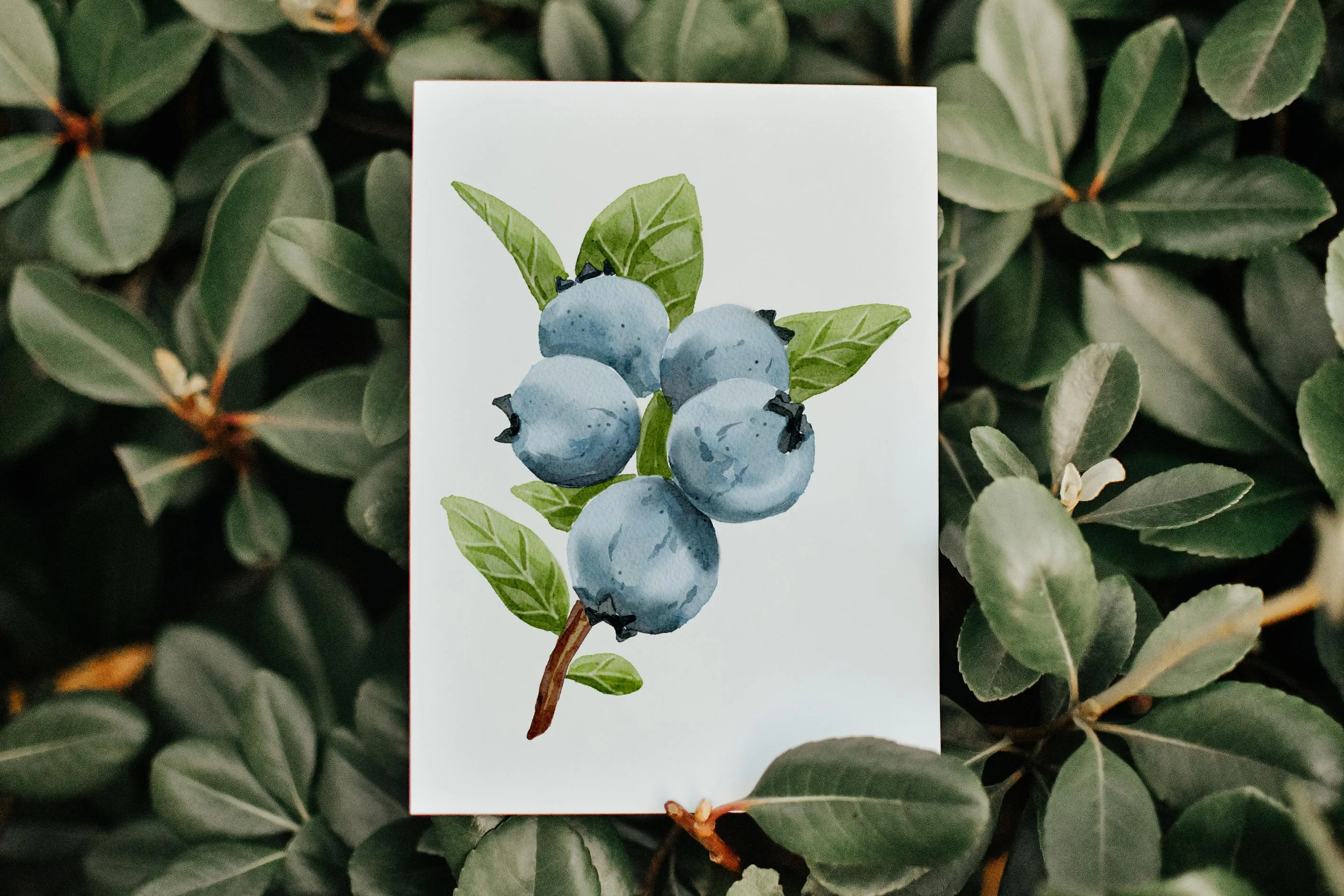 Everyday Card - Charming Blueberry Branch Art on Blue Plaid, Ideal for Birthdays or Just Because! Nature-Inspired Gift | Preppy Coastal Collection