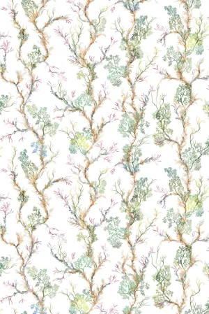 fine seaweed fabric