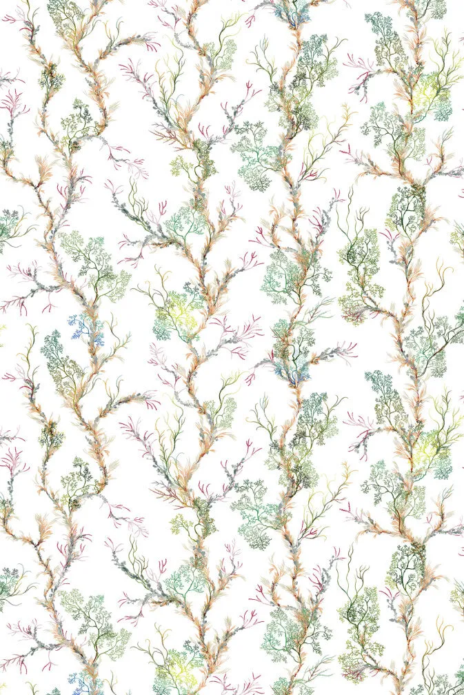 fine seaweed fabric
