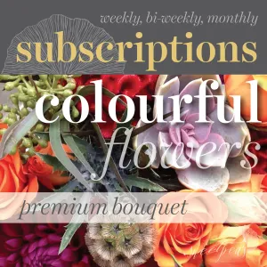 Floral Subscriptions - Colourful Bouquet (Premium)