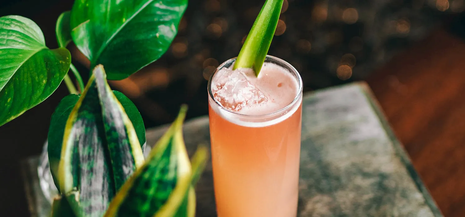 Grapefruit Basil