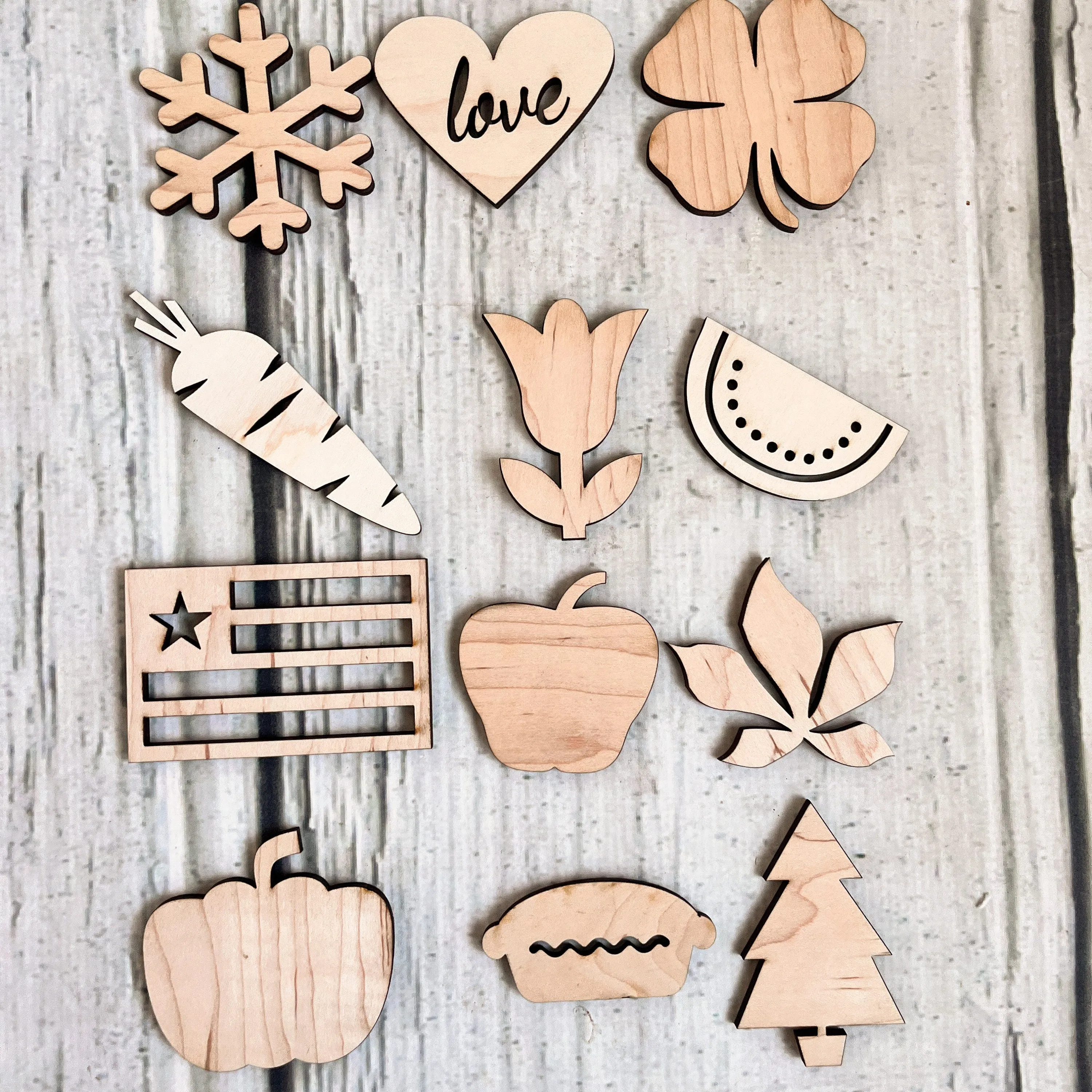 Handmade Gnome Signs DIY Kits for Adults Interchangeable Sign, Unpainted Wood Make Your Own Sign