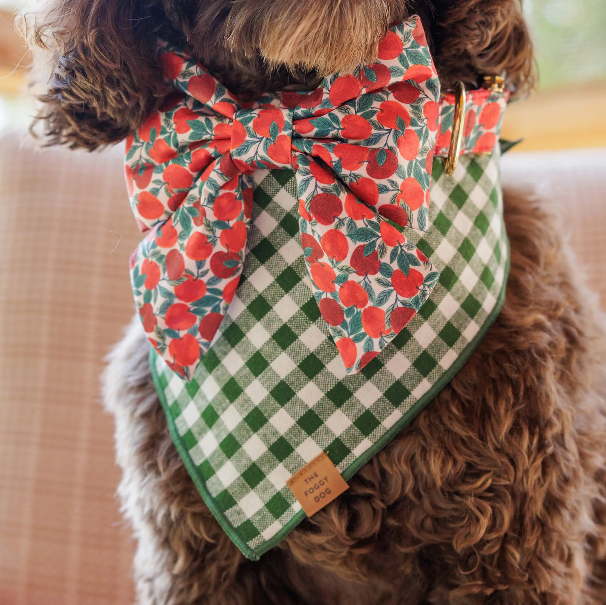 Heather Taylor Home x TFD Mini Gingham Hunter Green Dog Bandana