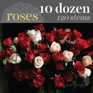 'Hey, Big Spender' Roses - 10 Dozen (120 stems)