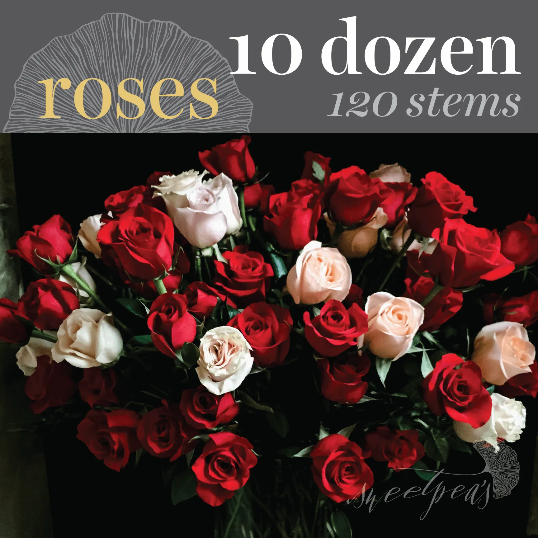 'Hey, Big Spender' Roses - 10 Dozen (120 stems)