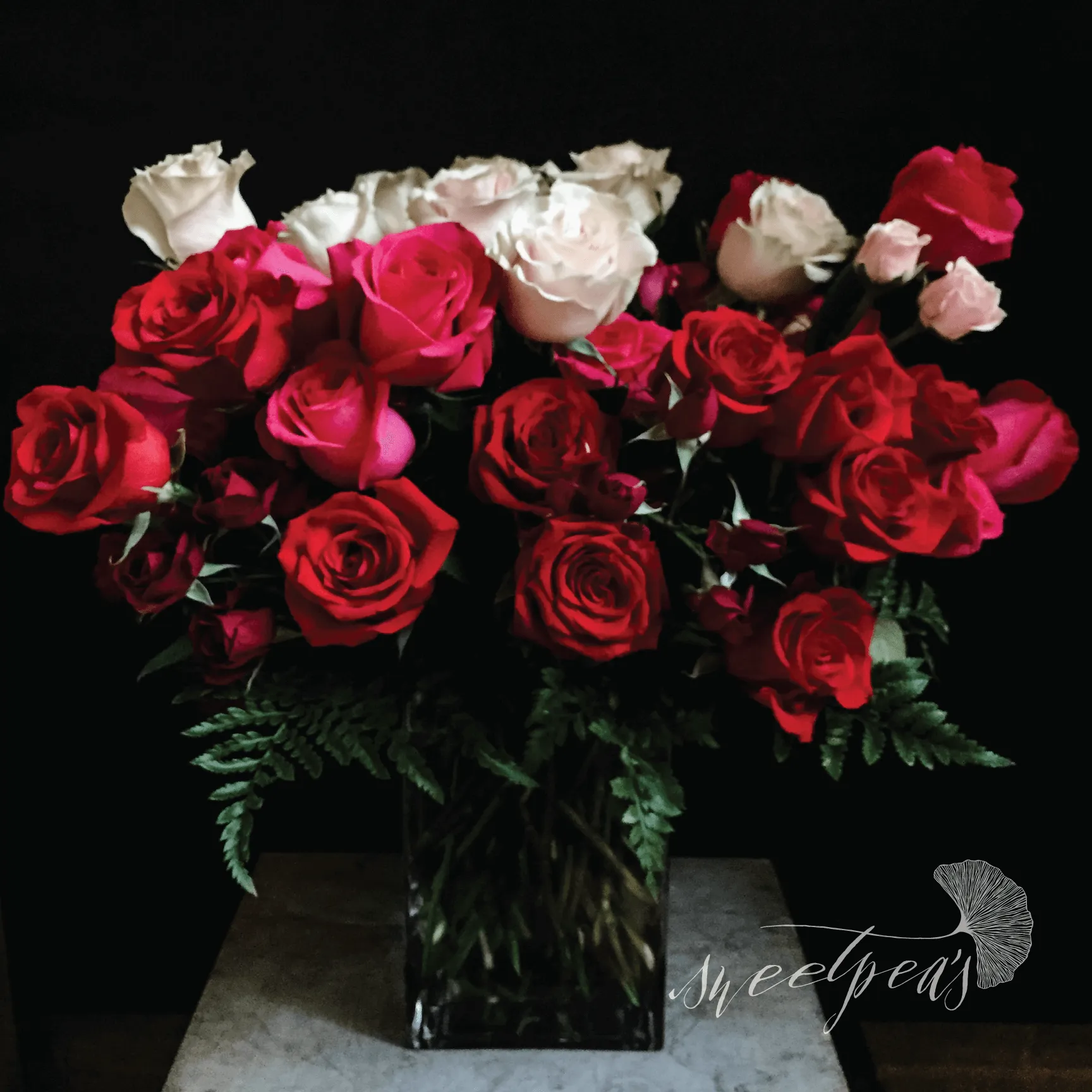 'High Roller' Roses - 6 Dozen (72 stems)