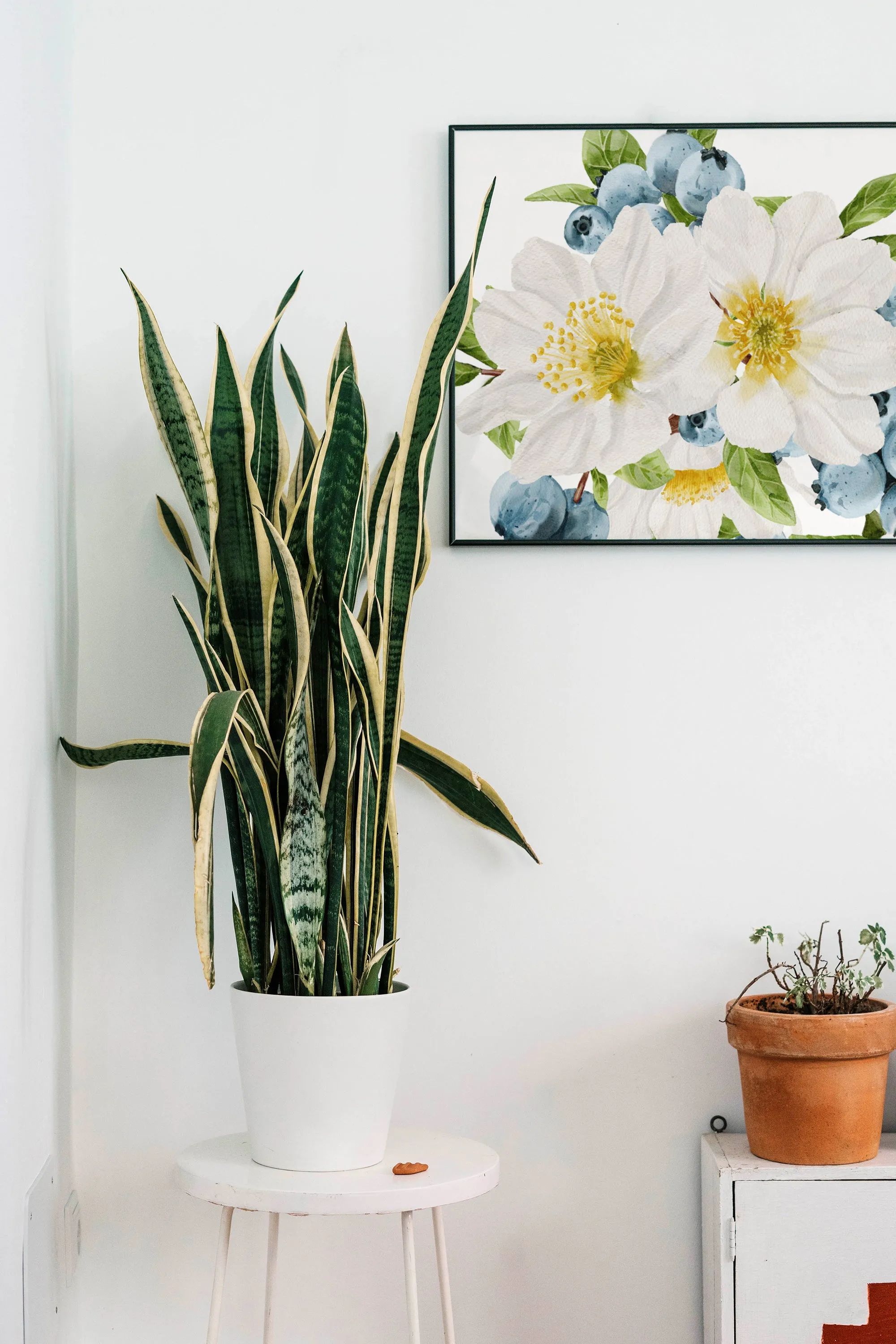 Kitchen Decor: Beautiful floral art print featuring white flowers and greenery, perfect for livening up kitchens and thoughtful gifts! | Preppy Coastal Collection