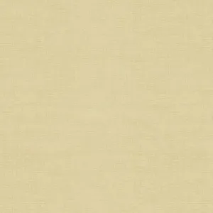 Laundry Basket Favorites: A Linen Texture Collection Parchment