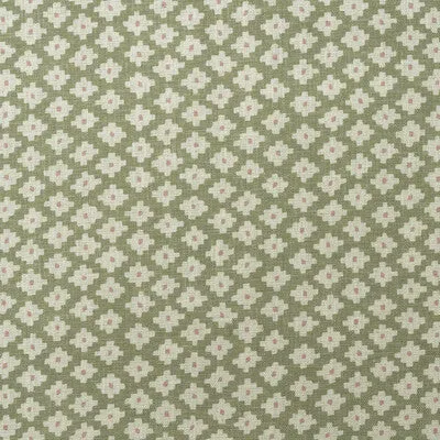 Maze-Fennel