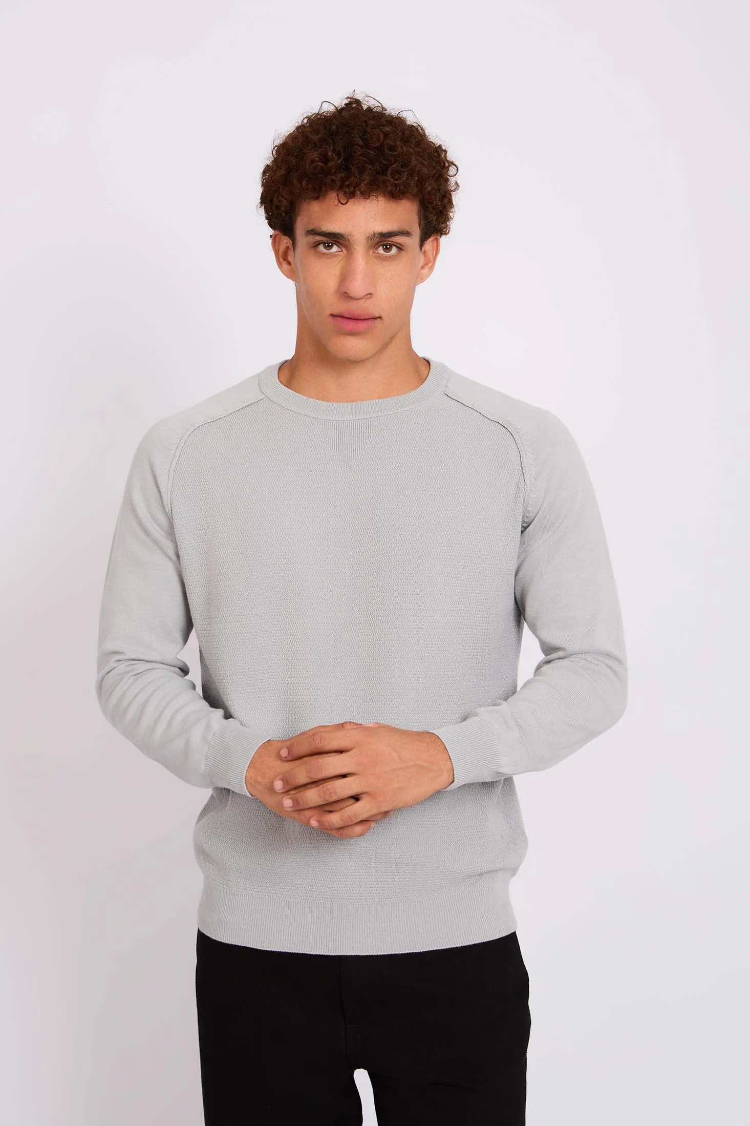 Men Pullover Regular Fit  Grey