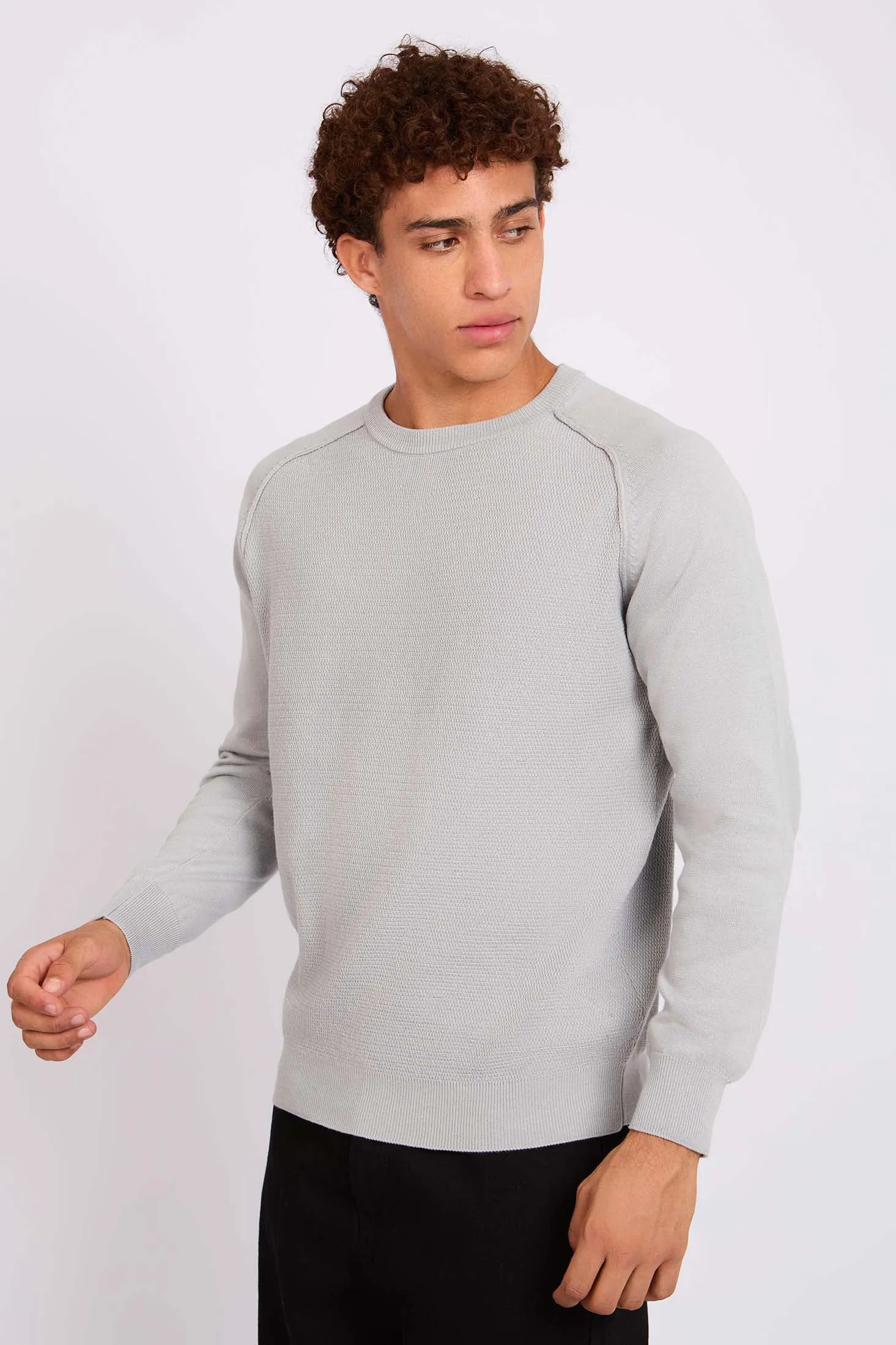 Men Pullover Regular Fit  Grey