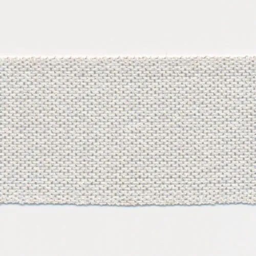 Metallic Ribbon #1 White & Silver