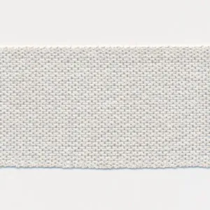 Metallic Ribbon #1 White & Silver
