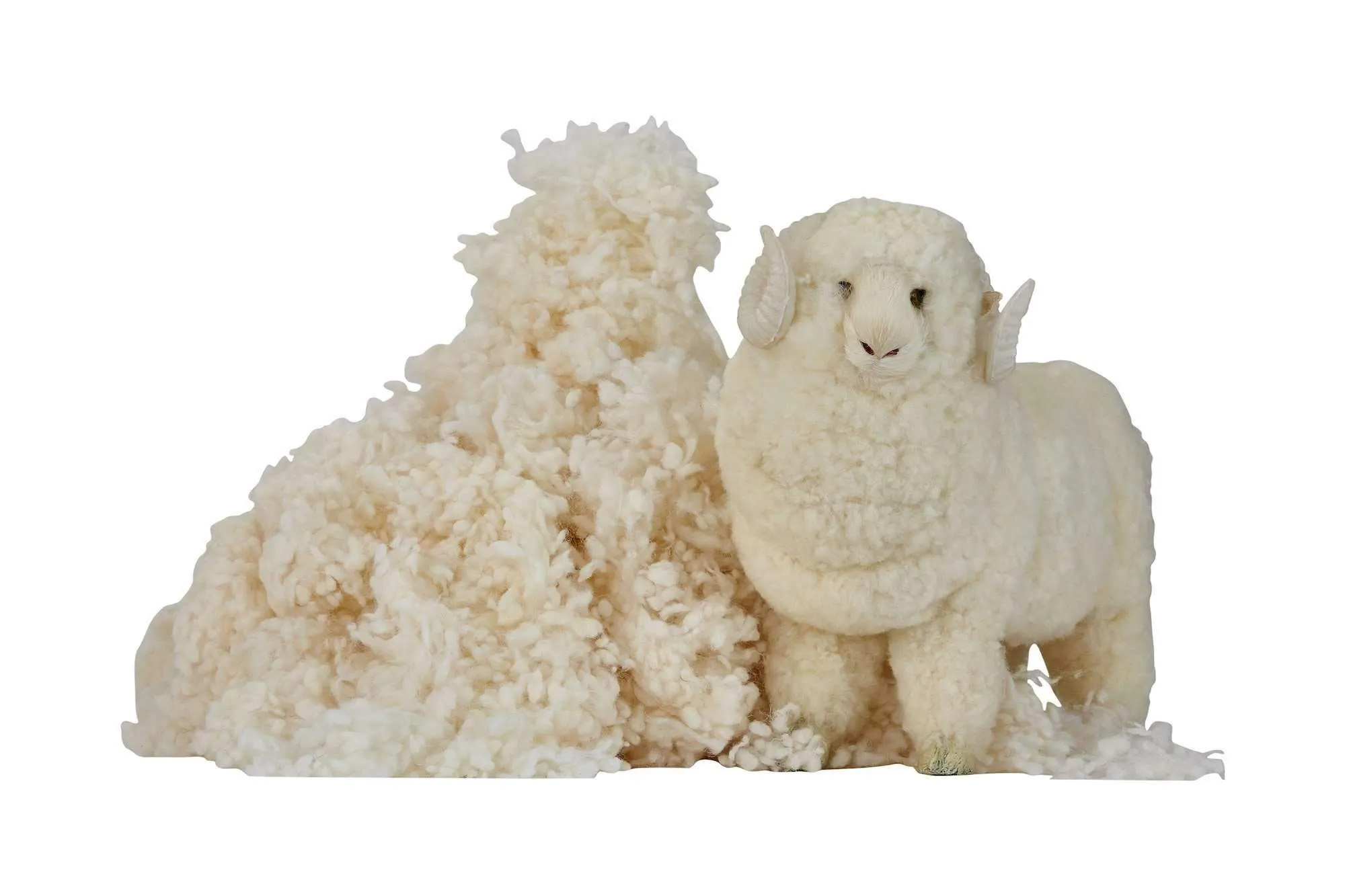 myWoolly Natural Pillow™ by S&B
