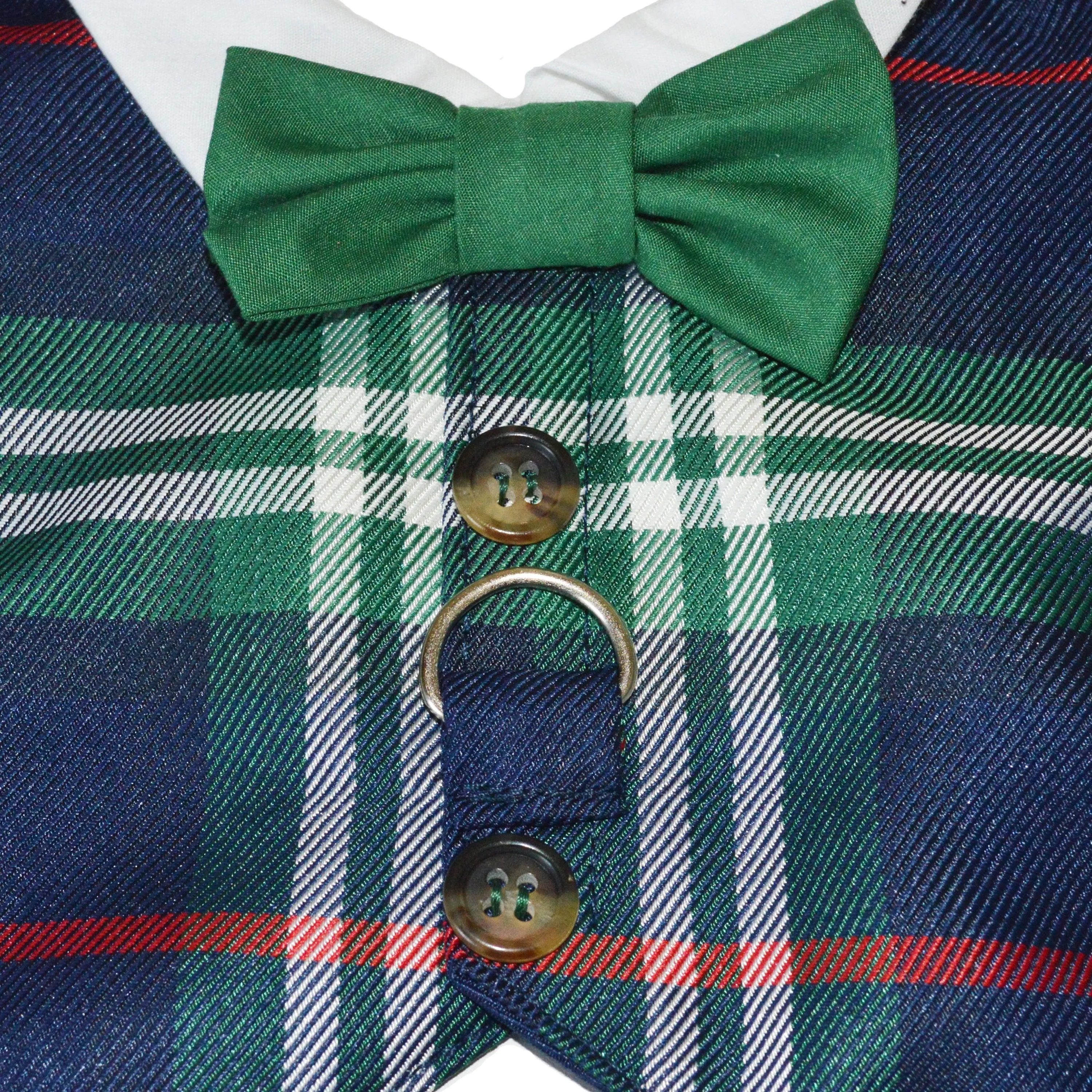 Navy and Green Plaid Dog