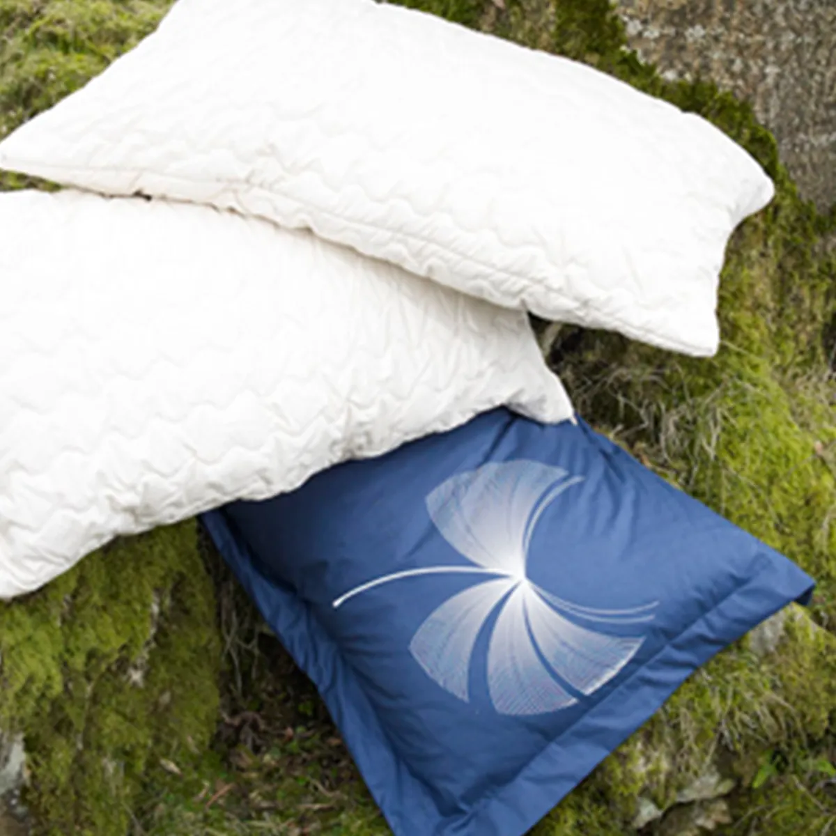 Organic Wool Pillow