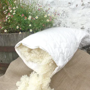 Organic Wool Pillow