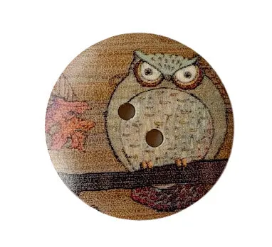 Owl shawl pins