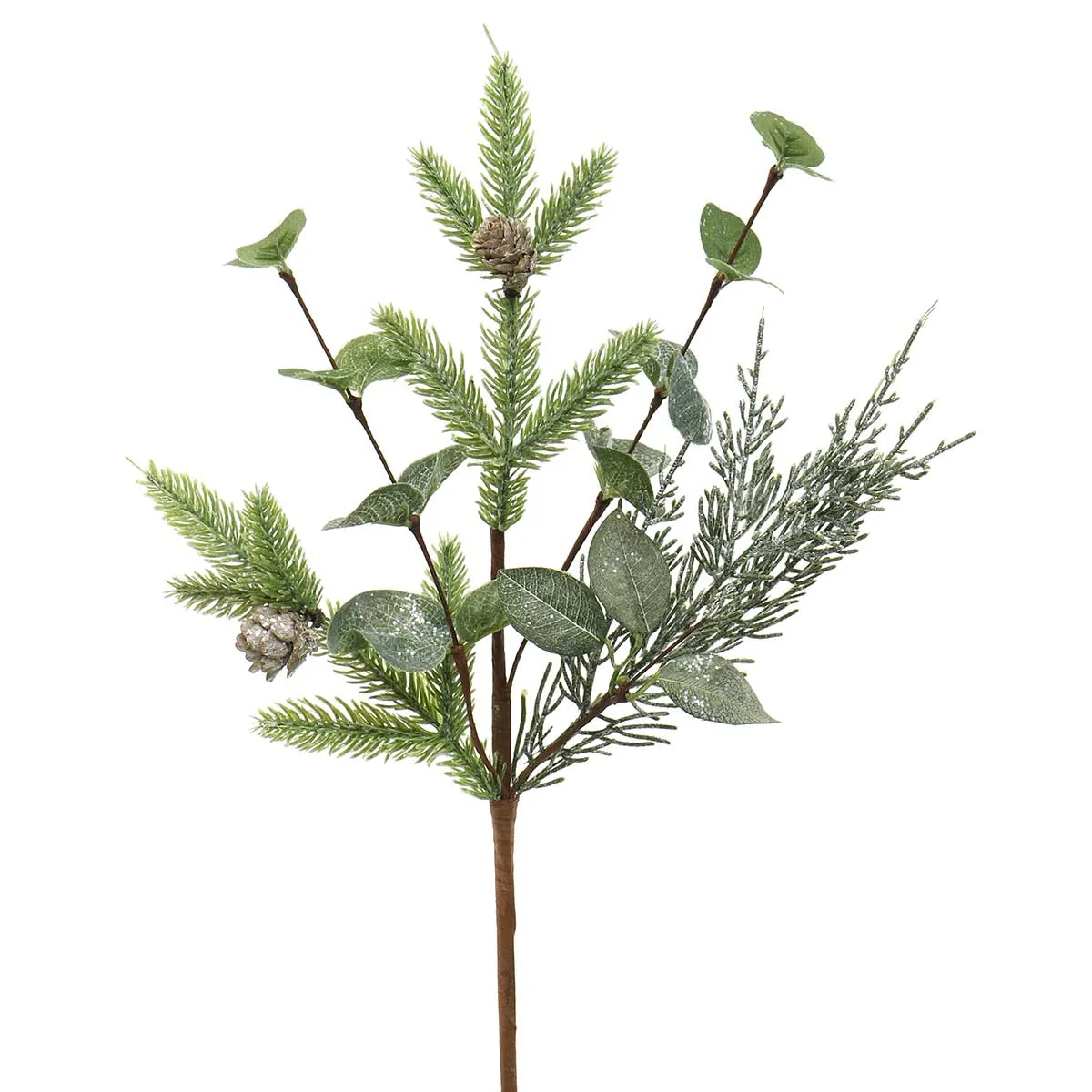 Pine Eucalyptus And Privet Pick