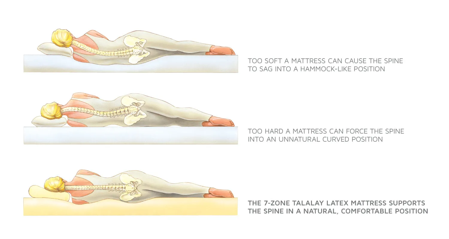 Premier Natural Latex Quilt-Top Mattress