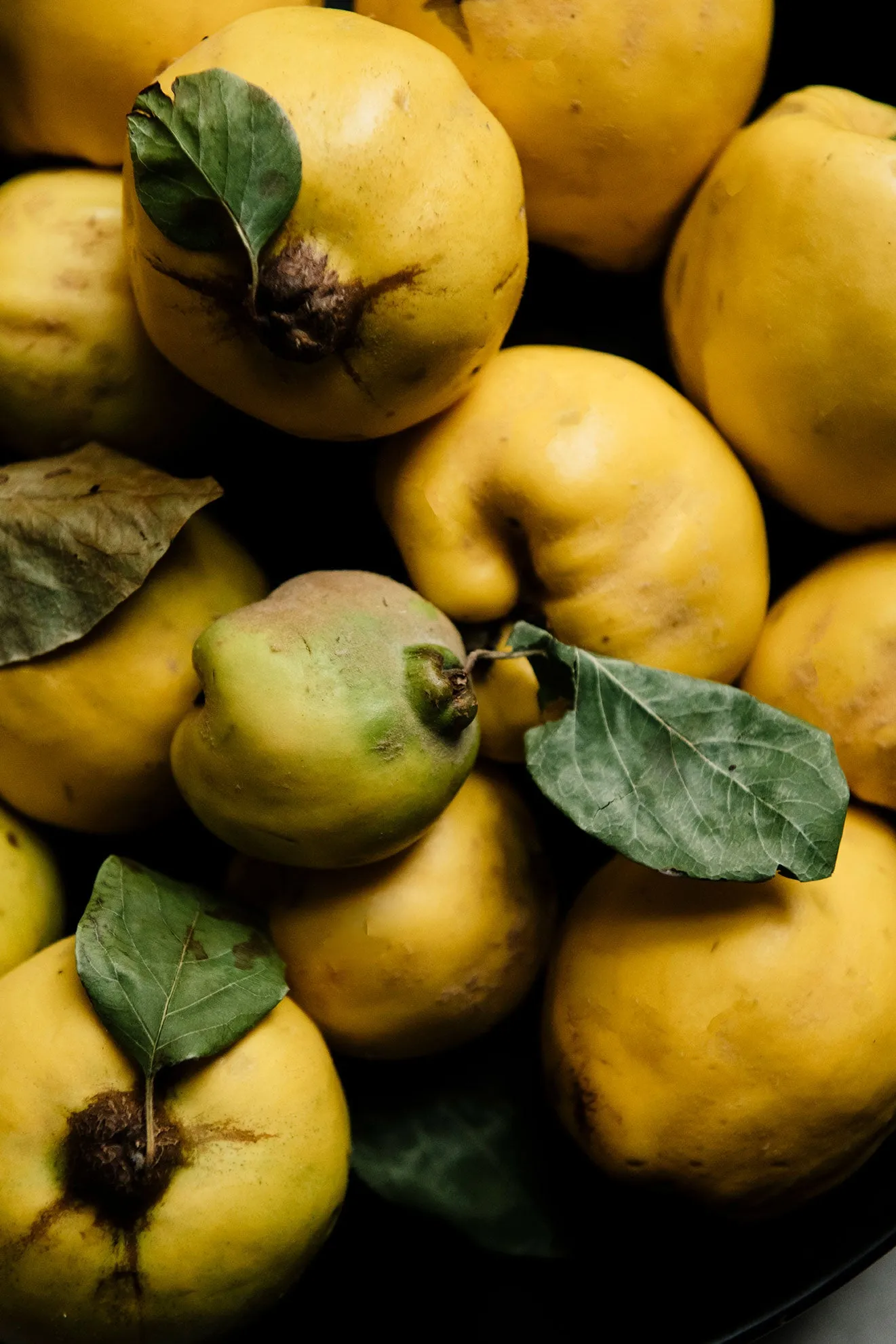 Quince Conserve