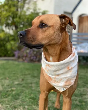 Shady Bandana