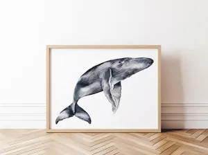 Whale print decor, beautiful grey whale watercolor art available in sizes, ideal gift for marine life lovers and ocean-inspired spaces! | Preppy Coastal Collection