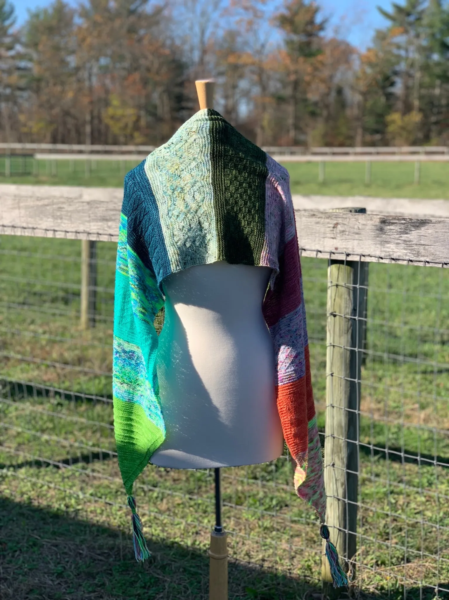 WINDOWS of HISTORY Shawl